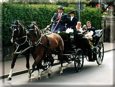 Hochzeit-Carsten