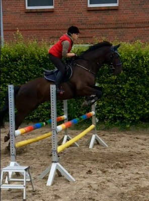 Wallach von "Catoo" aus der "Alina" geb. 04/2012